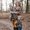 Photo of Kayli H.