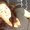 Photo of Jenni P.