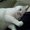 Photo of Darlene H.