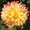 Photo of Qype User (Herbst…)