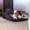 Photo of Cat L.