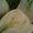 Photo of Saged T.