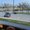 Photo of Sittingon Z.