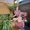 Photo of Johnna H.