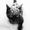 Photo of Kat C.