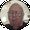 Photo of Richard A.