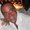 Photo of Fernando B.