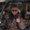 Photo of Sheri S.