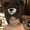 Photo of Tricia U.