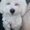 Photo of Yi-Chu C.