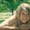 Photo of Heather A.