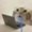 Photo of Scratch E.