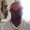 Photo of Derrick T.