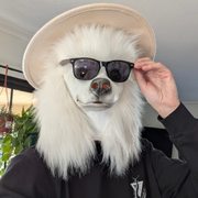 google avatar