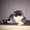 Photo of Mrs. HunnyBear ..