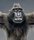 Photo of Qype User (Andy7…)