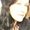 Photo of Gina B.