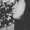 Photo of Jhoanna G.