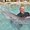 Photo of Will G.