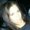 Photo of Dayana E.