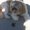 Photo of Pumpkin C.