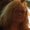 Photo of Deb M.
