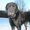 Photo of Qype User (050232…)