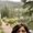 Photo of Gina C.
