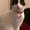 Photo of Johny F.