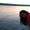 Photo of Keerth M.