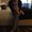 Photo of Kristen S.