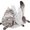 Photo of Jcat M.