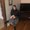 Photo of Lyza R.