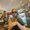Photo of Madi F.