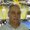 Photo of Frank P.