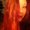 Photo of Sarina B.