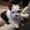 Photo of Kathi M.