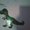 Photo of Jenny R.