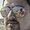 Photo of Jeff D.
