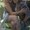 Photo of Jessica T.