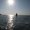 Photo of Tifani L.