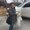 Photo of Aly S.
