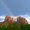 Photo of Sedona T.