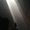 Photo of Jocelin L.