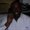 Photo of Roderick R.