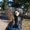Photo of Yuriko K.