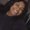 Photo of Tayreanna G.