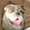 Photo of Mav B.