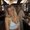 Photo of Cassie N.