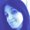 Photo of Chiara A.
